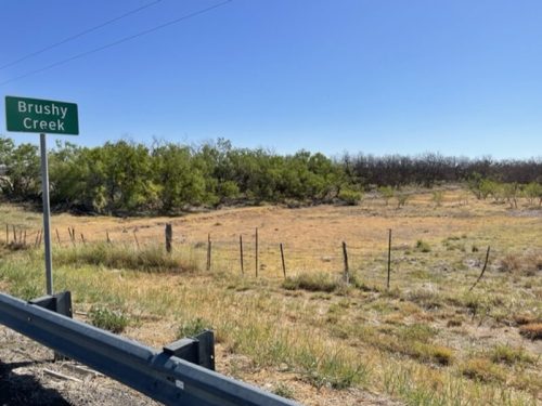 Bushy Creek project